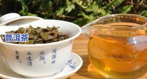 芒景普洱茶价格多少钱一斤-芒景普洱茶价格多少钱一斤啊