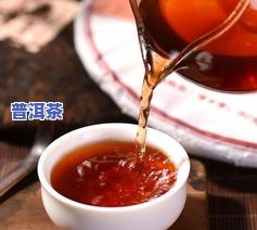 普洱茶常熟-普洱 熟茶