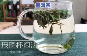 一杯茶泡多少克茶叶更好？作用口感的关键因素解析