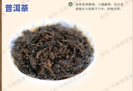 云南普洱茶荣誉-获奖普洱茶