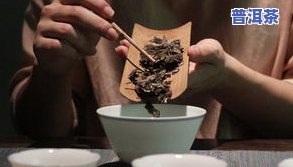 普洱茶冲泡多久？掌握时间和温度，让你品味更佳口感