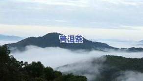 十大普洱茶山：揭秘著名普洱茶山及排名