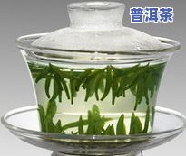 泡茶每次放多少茶叶比较好？影响口感的关键因素解析