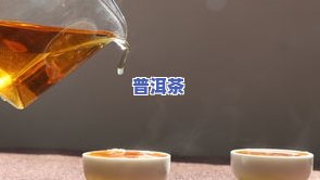 泡茶每次放多少茶叶比较好？影响口感的关键因素解析