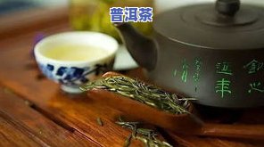 口碑好的普洱茶有哪些牌子值得推荐？