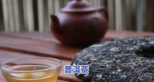 梨山茶哪个牌子好？比较与评价