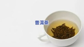 梨山茶哪个牌子好？比较与评价