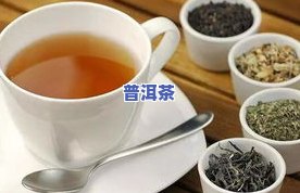 梨山茶哪个牌子好？比较与评价