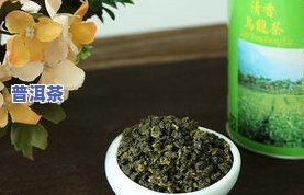 梨山茶产区：揭秘知名乌龙茶品种与价格