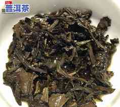 乔木古树普洱茶价格表：熟茶与生茶的区别及推荐