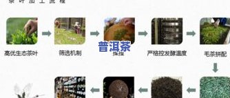 进出口普洱茶-普洱茶出口贸易