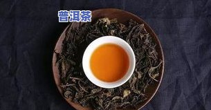 普洱茶怎么会变成苦的呢？探究其苦涩原因与解决方法