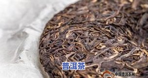 普洱茶属于哪种茶系的茶类-普洱茶属于哪种茶系的茶类