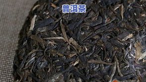 深入解析：冰岛普洱茶的独特口感特点