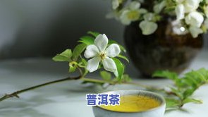 普洱茶的喉韵：如何用语言描述其独特的口感和韵味？