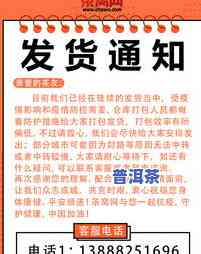 92年普洱方茶价格全揭秘：历史、品种及市场行情一览