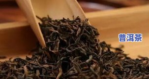 普洱茶中的柴茶：种类、口感、色泽全解析