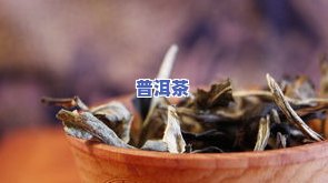 普洱茶中的柴茶：品种、功效与分类全解析