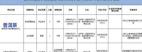 普洱茶规格型号填写正确方法与示例图、视频全解析