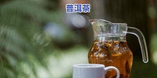 一杯茶要放多少茶叶才合适？如何控制茶叶量让茶更好喝？