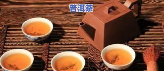 一杯茶要放多少茶叶才合适？怎样控制茶叶量让茶更好喝？