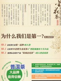 普洱茶官网首页：排名与产品查询