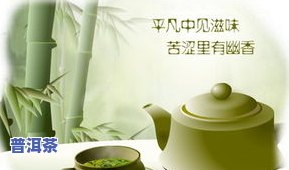 一杯茶放多少茶叶？图片展示及详细说明