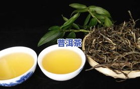 景迈古树普洱茶生茶：口感、价格全解析！