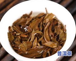 普洱茶存储的关键性是什么-普洱茶存储的关键性是什么呢