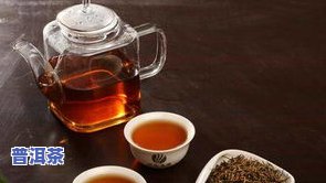 普洱茶老头茶：价格、品种与口感全解析