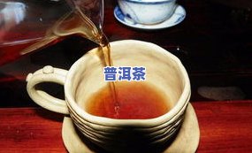 普洱茶味道特点介绍：深度解析其独特口感与香气