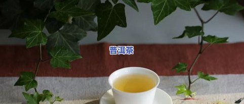 普洱茶鲜叶太嫩了怎么办-普洱茶鲜叶太嫩了怎么办呢