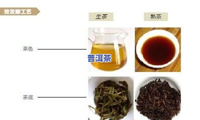 磨烈普洱茶怎么样？口感、价格、位置全面解析，一文看懂磨烈普洱生茶！