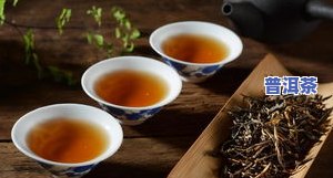 磨烈普洱茶熟茶-磨烈普洱茶的口感