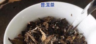 最适合冬季饮用的茶叶种类及其特点