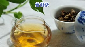 小坝茶的特点：探究其独特的口感与历史价值