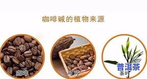 市面上普洱茶有几种品种图片及其价格一览