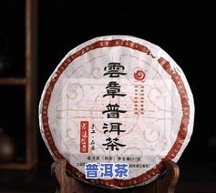 名茶普洱：种类、排行榜与十大名品全解析