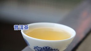 归途普洱茶-归惜普洱茶