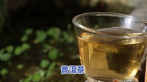 普洱茶需要多少度水冲-普洱茶需要多少度水冲泡