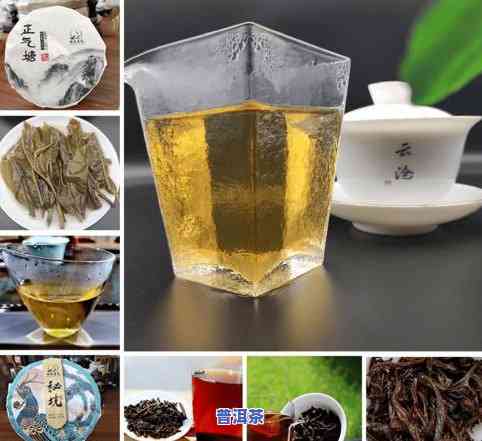 抹茶液加普洱茶：全面功效解析