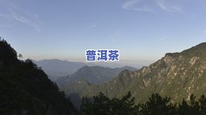 大明山茶叶主打哪些种类？了解大明山茶叶及主打茶叶