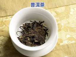 普洱茶怎样泡开？最详细的冲泡方法与技巧分享