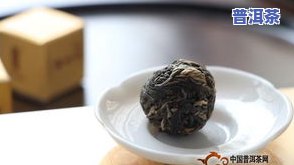 好的普洱茶泡开后茶叶的样子：清晰、肥壮、有光泽，图解