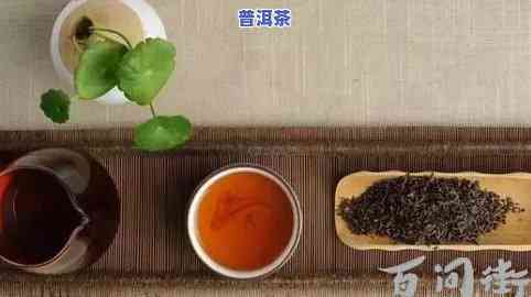 普洱茶需要一直泡着吗-普洱茶需要一直泡着吗为什么