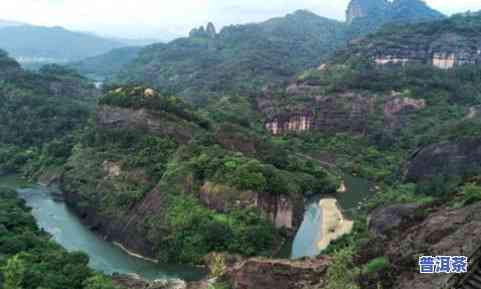 武夷山寻韵东方茶叶-武夷山寻韵东方茶业