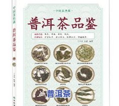 普洱茶的发展历史简介概括50字：从古至今，普洱茶经历了漫长而丰富的演变过程。它是云南特有的茶类，有着深厚的文化底蕴和特别的风味。从唐代开始，普洱茶就已经被广泛种植和饮用。在清朝时期，普洱茶更是成为了皇室贡品。到了现代，普洱茶因其保健功效和特别的口感受到了广大消费者的喜爱。它的制作工艺也日益完善，包含杀青、揉捻、发酵等步骤。普洱茶的发展历程是一部充满故事和魅力的历史。