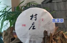 去茶山体验普洱茶的感悟-去茶山体验普洱茶的感悟作文