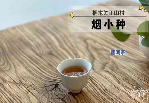 压缩成小方块的茶叶是什么品种？是何种的茶叶被压缩成了这种独特的形状？请详细解释。