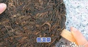 普洱茶怎样正确撬开？详细步骤解析